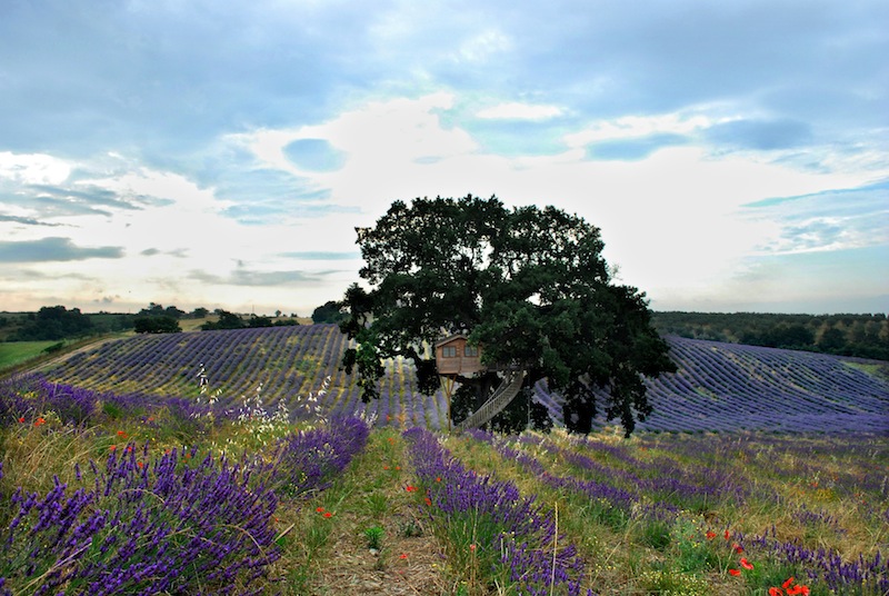 la-piantata-0