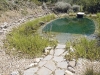 bioalago_piscina_naturale_g6