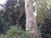 Foto Parco del Castello di Grazzano Visconti
