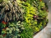green decor