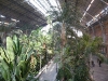 Il giardino botanico della stazione di Atocha