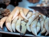 Denti di tigre