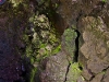 rocce nel vulcano thrihnukagigur