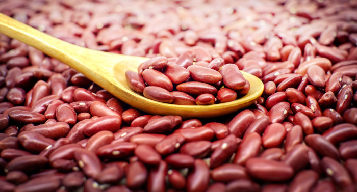 Fagioli ricette, proprietà, benefici e coltivazione Fagioli ricette, proprietà, benefici e coltivazione