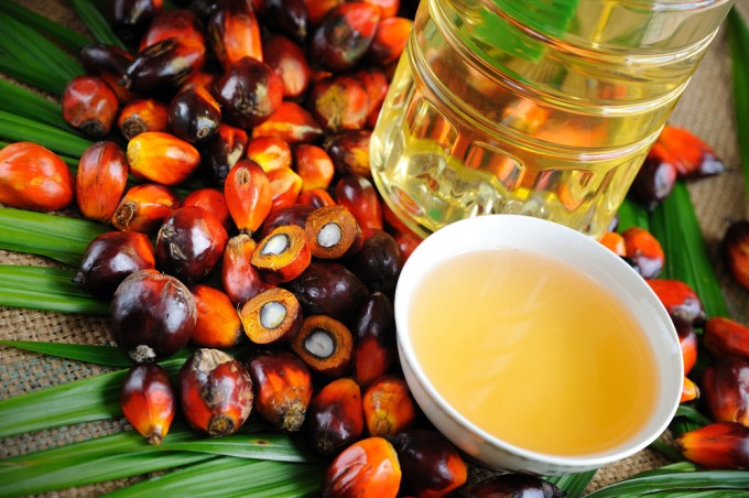 Olio di palma Olio di palma fa male