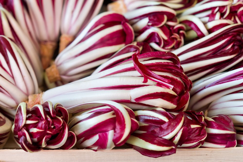 radicchio radicchio