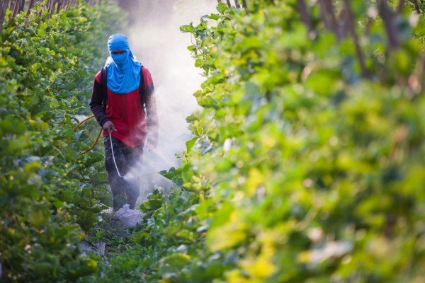 Pesticidi pericolosi per la salute