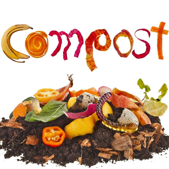 Come differenziare l'umido in estate in 8 mosse