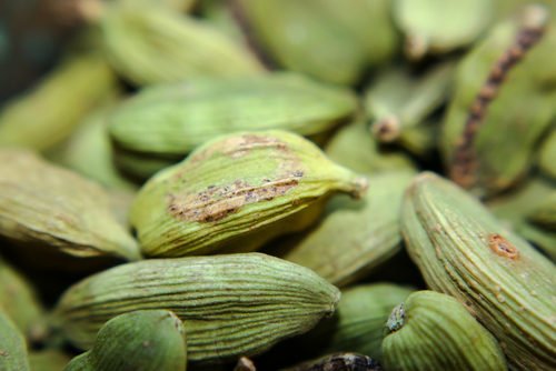 cardamomo
