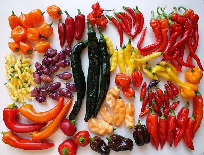 Peperoncino habanero proprietà