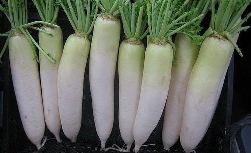 Insalata di arance: il daikon è un ottimo ingrediente da aggiungere.