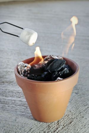Marshmallow cotti