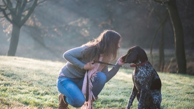 Si può prevenire la malattia di Lyme, avendo cura di portare cani e gatti dal veterinario, e di preservarli dall'attacco delle zecche con repellenti specifici