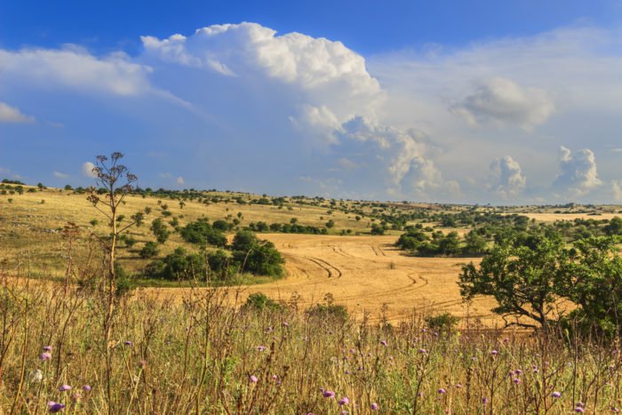 Parco Nazionale dell’Alta Murgia