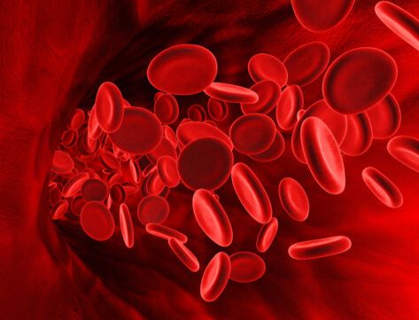 anemia cause