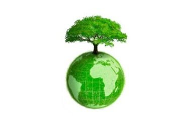 Love4Globe diventa anche un sito per consigliare gli eco-volontari