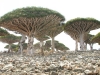 Guida al viaggio nelle isole greche - Traghetti, navi ed ...