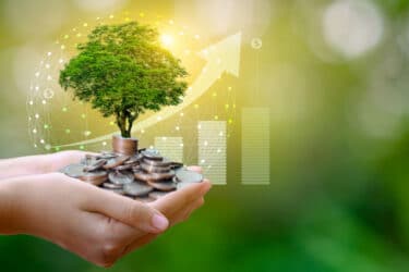 Green economy: cos’è, principi base e obiettivi