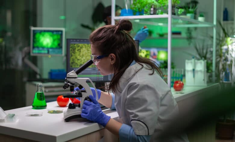 Organismi Geneticamente Modificati