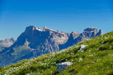 Guide pratique du parc national des Dolomites de Belluno