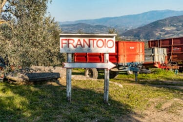 Dai frantoi italiani esce il miglior olio di oliva al mondo