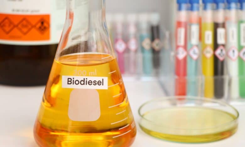 Il biodiesel fatto in casa