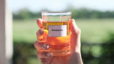 Biodiesel dalle alghe