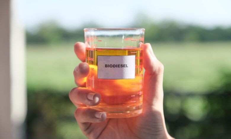 Biodiesel dalle alghe