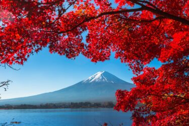 Tutto sul foliage, quando le foglie ne combinano di tutti i colori