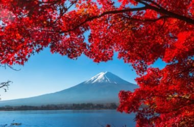 Dove Ammirare Il Foliage In Italia E All Estero La Guida Pratica