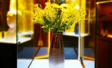 Insoliti vasi per fiori