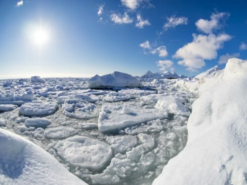 Artico sempre più inquinato