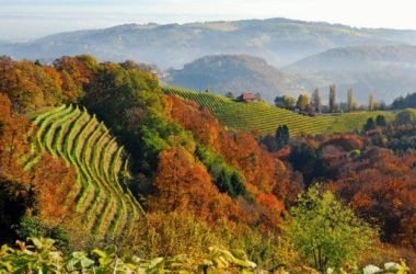 Termenland Stiriana: tra terme e hotel eco-sostenibili una vacanza all’insegna della natura e del benessere