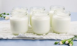Benefici del cibo fermentato: quali sono?