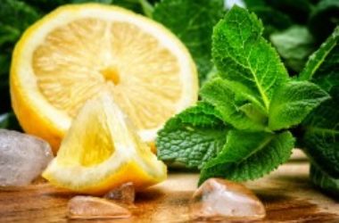 Rimedi naturali per le punture di zanzare: quali sono
