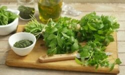Levistico: proprietà e benefici del levistico