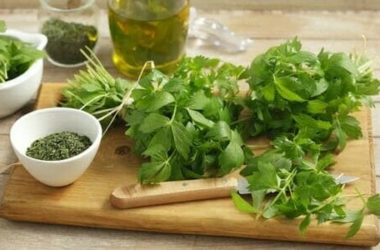 Levistico: proprietà e benefici del levistico