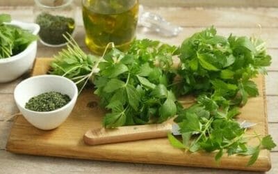 Levistico: proprietà e benefici del levistico