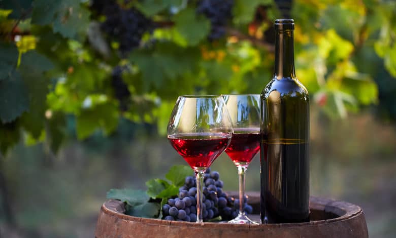 differenze fra vino biologico naturale e biodinamico