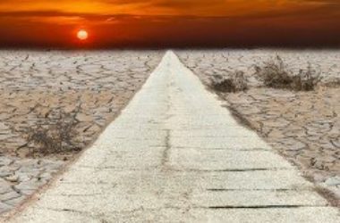 Tra le conseguenze del cambiamento climatico? I profumi delle cose che spariranno…