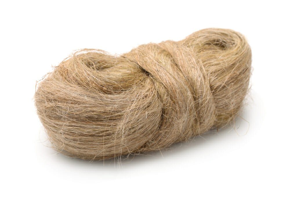 Fibra Tessile Ricavata Da Una Palma