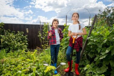 Come proteggere un orto urbano dallo smog