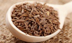 Semi di finocchio: per la digestione, per i disturbi respiratori e per l’alito!