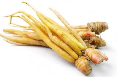 Ginseng proprietà: la guida per scoprire tutti i benefici del ginseng