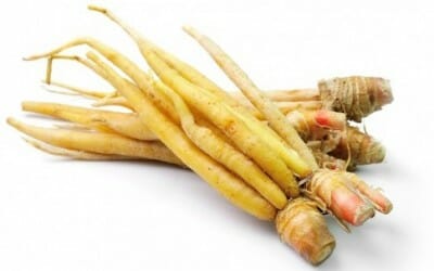 Ginseng proprietà: la guida per scoprire tutti i benefici del ginseng