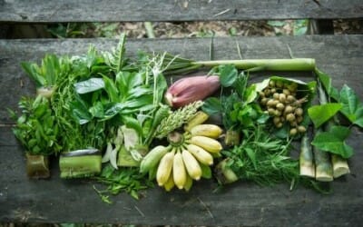 A Milano nasce un progetto per coltivare in città verdure esotiche