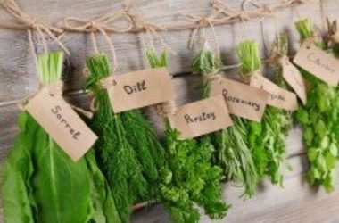 Come essiccare le erbe aromatiche
