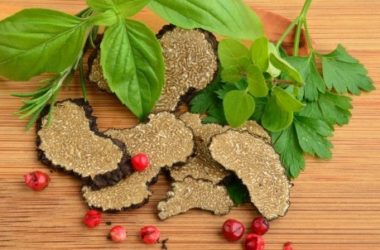 Tutto sul tartufo: le proprietà nutrizionali e gli utilizzi di questo ingrediente