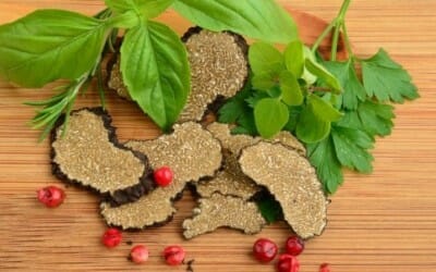 Tutto sul tartufo: le proprietà nutrizionali e gli utilizzi di questo ingrediente