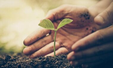 Agricoltura sostenibile in Italia i contadini adottano pratiche sempre più green